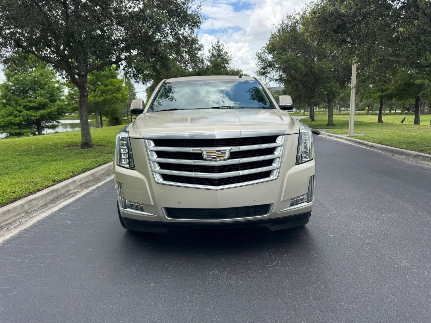 cadillac escalade esv 2015 1GYS3TKJ7FR650630 image cadillac escalade esv 2015 1GYS3TKJ7FR650630 image
